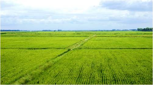 污水處理設(shè)備解決了環(huán)境污染問題